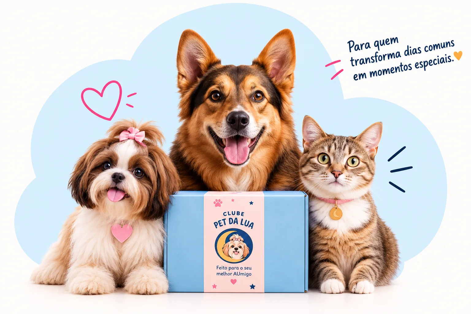 Shih Tzu, cachorro e gato reunidos ao redor da box azul do Clube Pet da Lua, com a cinta rosa oficial