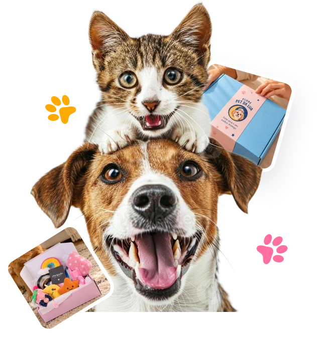 Gatinho sobre um cachorro, ao lado de fotos da box azul e de uma box aberta do Clube Pet da Lua